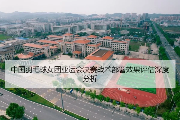 中国羽毛球女团亚运会决赛战术部署效果评估深度分析